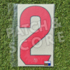 Original Player Issue 2024-25 FC Barcelona Curbarsí La Liga Away Name Set | Stahls TPT