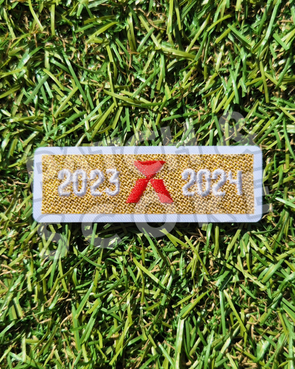 Original Player Issue 2024-25 Real Madrid Patch La Liga Champions 2023-24 | Avery Dennison